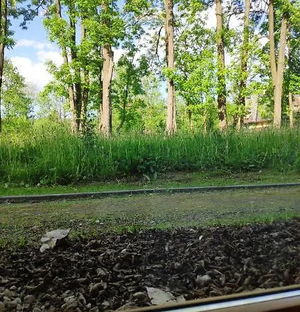 Krupowki 4 Os Centrum